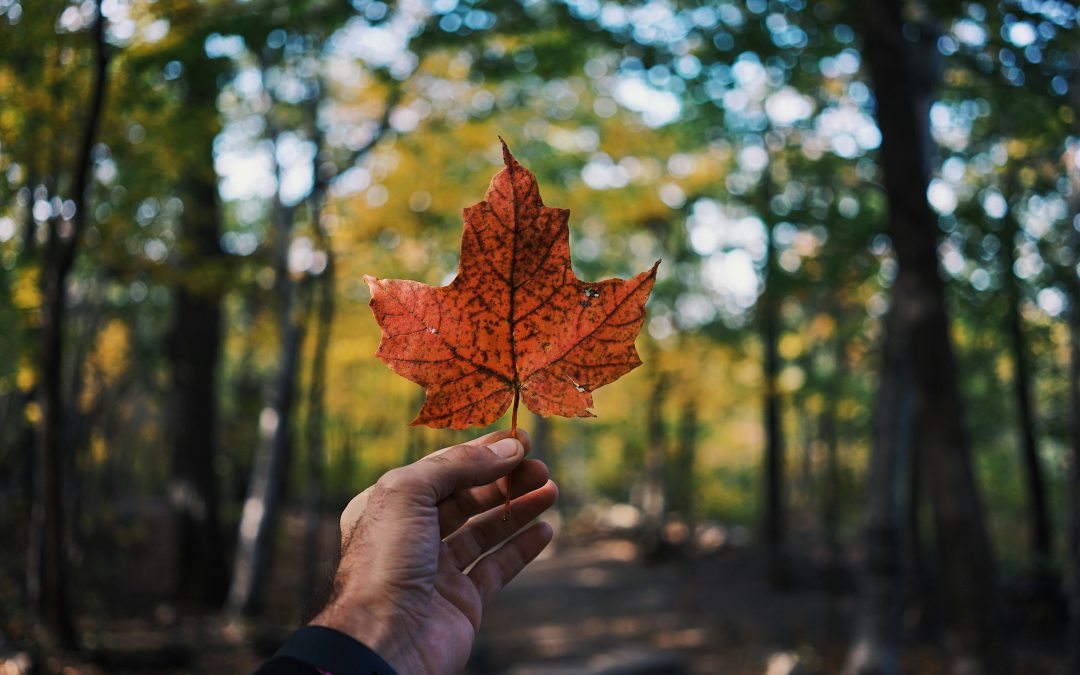 Idées novatrices de collecte de fonds au Canada